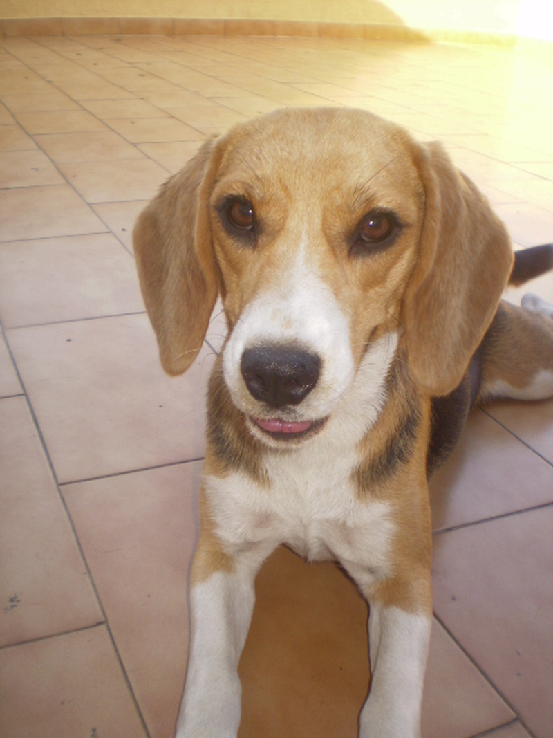 Cristina - Foto 1