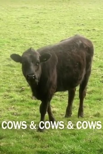 Cows & Cows & Cows - Poster / Capa / Cartaz - Oficial 1