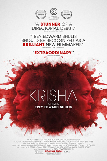  de Filme Krisha (2015)