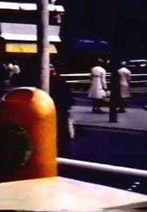 Diary of a Lover (Tagebuch eines Liebenden)