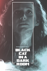 Black Cat in a Dark Room (Black Cat in a Dark Room)