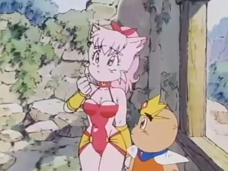 Foto 22 de RPG Densetsu Hepoi