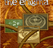 Crop Circles the Enigma