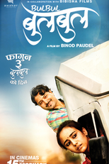 Bulbul (बुलबुल)