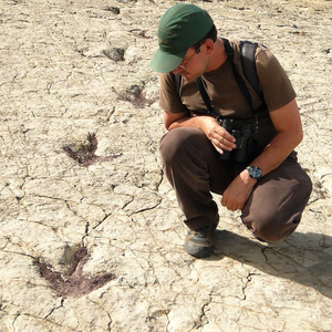 Foto de perfil de Carlos Otávio Gussoni