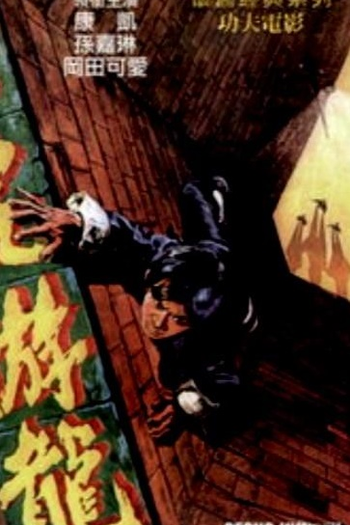 Poster de Filme Gecko Kung Fu (1972)