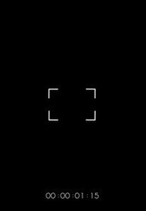 Metalinguagem - A Discrepada Prodigalidade da Direção (Metalinguagem - A Discrepada Prodigalidade da Direção)