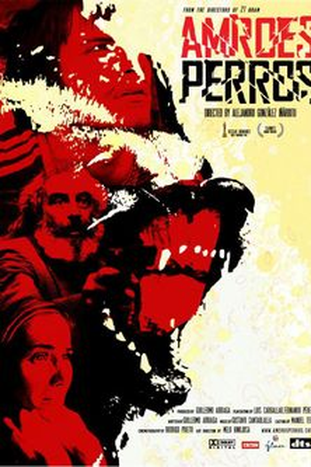  de Filme Amores Brutos (2000)