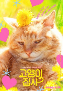 Our Cat (고양이 집사)