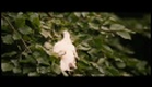 Der Freischütz - Die Filmoper (Hunters Bride) Trailer HD