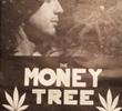 A Árvore do Dinheiro