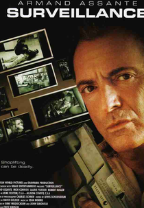 O Vigilante (Surveillance)