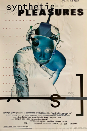 de Filme Synthetic Pleasures (1995)