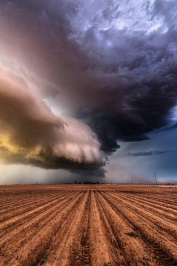 Poster de Episódio Texas Derecho Disaster (2025)