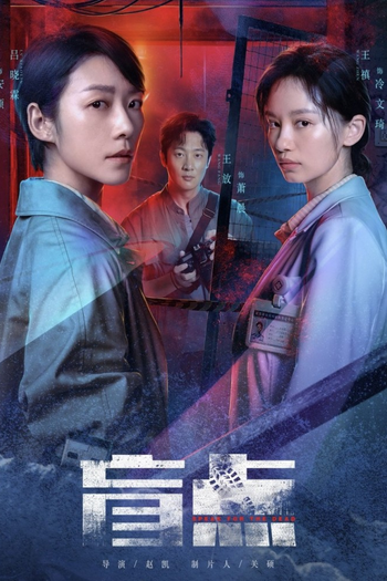 Poster de Franquia 盲点 (2025)