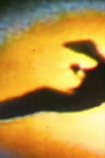 L’oiseau (L’oiseau)