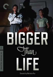 Delírio de Loucura (Bigger Than Life)