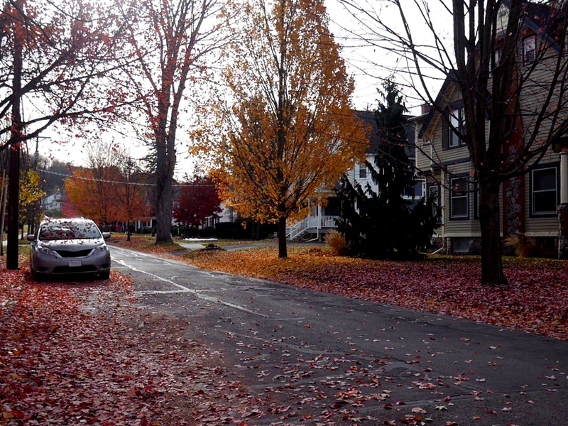 Foto 2 de The Stalking