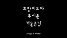 BIFF2017 l Korean Cinema Today : A Tiger in Winter
