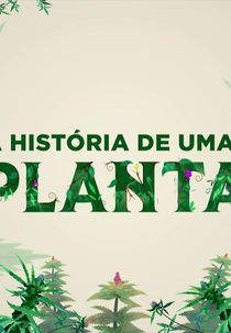 A História de uma Planta (1ª temporada) (A História de uma Planta (1ª temporada))