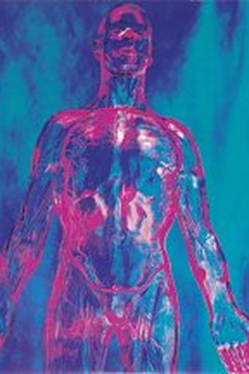 Poster de Curta Nirvana: Sliver (1990)