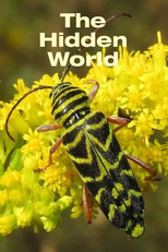 The Hidden World (The Hidden World)