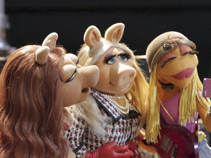 Foto 1 de The Muppets (1ª Temporada)