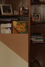 Maria da Penha: Um Caso de Litígio Internacional (Maria da Penha: Um caso de Litígio Internacional)