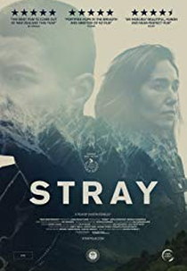Stray (Stray)