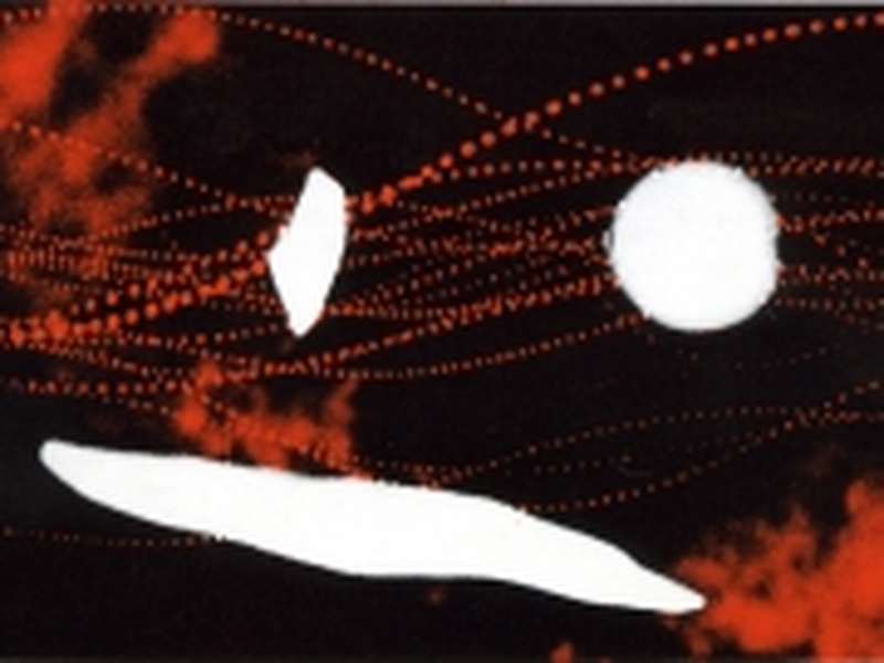 Foto 1 de Le labyrinthe