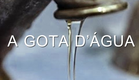 DOCUMENTARIO: A Gota D'Água 2014