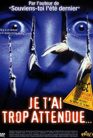 Poster 6 de Filme Eu Estou Esperando Por Você (1998)