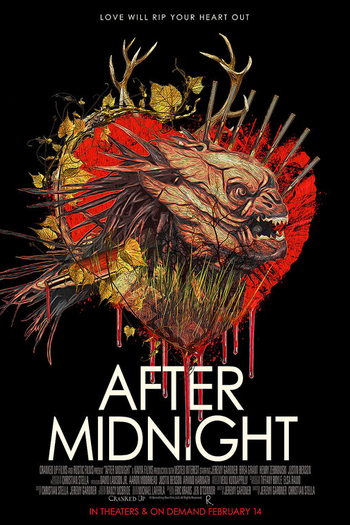 Poster de Filme After Midnight (2019)