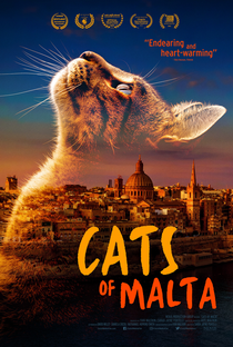Cats of Malta - Poster / Capa / Cartaz - Oficial 3