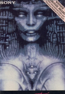 The Occult Experience