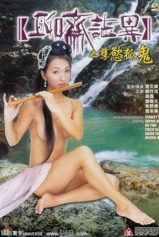 Poster 1 de Filme Fox Ghost (2002)