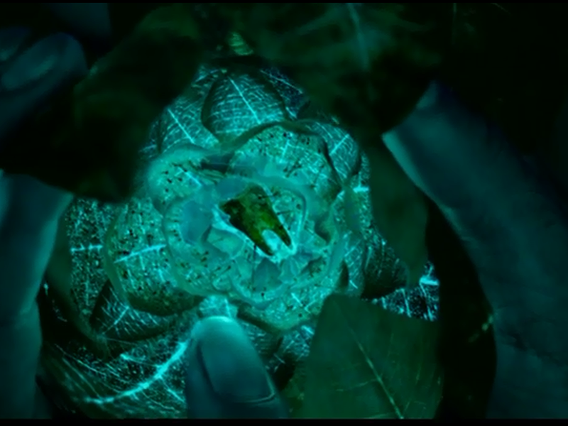 Foto 1 de As Aventuras de Pi