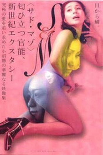 Poster de Filme Sadistic and Masochistic (2000)