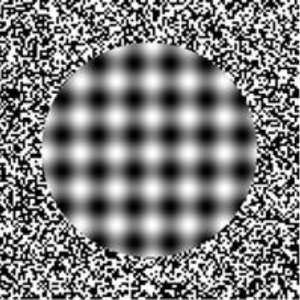 Foto de perfil de Tomas Xavier