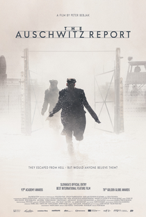 O Protocolo de Auschwitz - Poster / Capa / Cartaz - Oficial 3