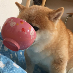 Foto de perfil de Camila