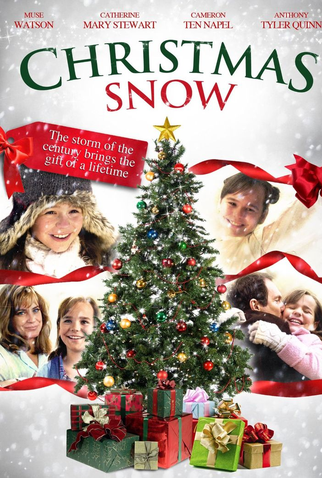 Poster 3 de Filme O Poder do Perdão (2010)