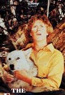 Meu Amigo Lobo (The Flight of the Grey Wolf)