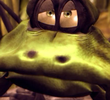 The Frogs