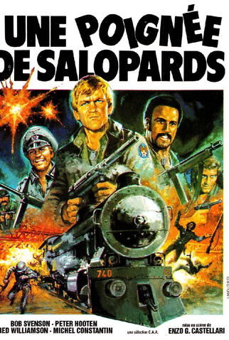 Poster 8 de Filme Assalto ao Trem Blindado (1978)