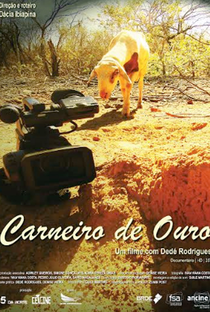 Carneiro de Ouro - Poster / Capa / Cartaz - Oficial 1