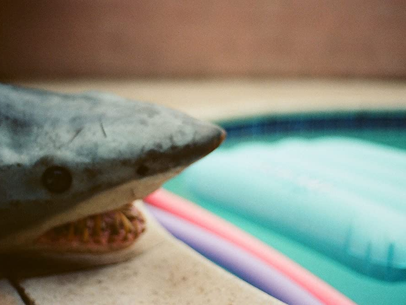 Foto 1 de Pool Shark