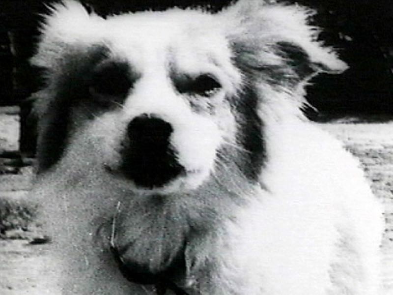 Foto 1 de Juvenília