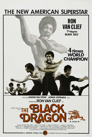 Poster 1 de Filme The Black Dragon (1974)