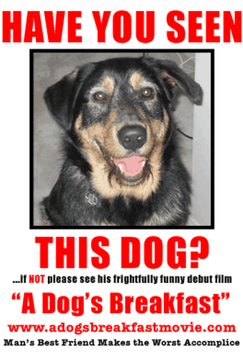 Poster de Filme Osso Duro de Roer (2007)